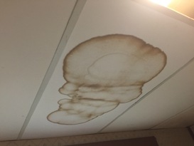 Water Stains On The Ceiling Manhattan Home Inspections