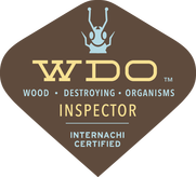 Termite inspections NY